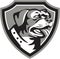 Rottweiler Guard Dog Shield Black and White