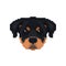 Rottweiler head in pixel art style.