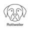 Rottweiler linear icon