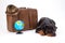 Rottweiler lying near travel suitcase.