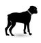 Rottweiler pet dog, icon vector