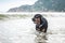 The Rottweiler playing at the beach