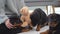 Rottweiler puppies biting teddy bear toy