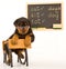 Rottweiler puppy sitting on mini school desk