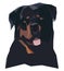 Rottweiler`s portrait in a geometric style