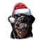 Rottweiler with santa claus hat