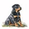 Rottweiler sitting side facing, watercolor illustration AI Generated