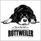 Rottweiler - vector illustration for t-shirt, logo and template badges