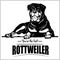 Rottweiler - vector illustration for t-shirt, logo and template badges