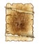 rough antique parchment paper scrolls