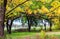 Rough autumn farm garden with trees