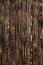 Rough background of detailed brown wooden