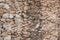 Rough, beige, old wall texture background