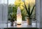 Rough big selenite crystal tower pole lamp illuminated in home on window sill.