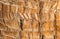 Rough brown palm tree wood bark natural texture background.