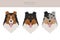 Rough collie clipart. Different poses, coat colors set