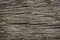 Rough Dark Wood Texture