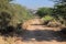 The rough Footpath or road connecting the Indian village goes through the forest