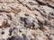 Rough grey eroded limestone ground on a beach with scattered sand