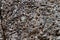 Rough grey stone texture photo. Natural stone background. Weathered rock relief. Porous volcanic stone