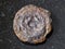 rough lake iron ore coin type (limonite) on dark