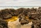 Rough limestone shore with tidal pools