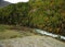 Rough mountain river flowing through a narrow canyon surrounded by high mountains and coniferous forest