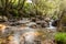 Rough mountain river with white foam flows among the rocks and trees