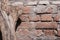 Rough old crumbling orange brickwork. A wall of old broken red bricks and gray cement. dried log stump without bark in the