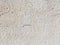 a rough plastered wall texture with tiny little scattered holes