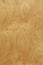 Rough plywood wood grain background close up