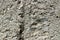 Rough porous concrete surface close up macro shot