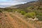 Rough road in the Nama Karoo shrubland