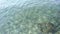 Rough sea texture. Marine theme with copy space. Top view natural background of rippled sea-green sea water.