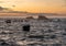 Rough seas pound the small boats moored in the harbor at Bude