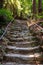 Rough stone steps with iron rails and trees at the top of the steps