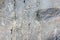 Rough stone surface grey color. Detailed nature background or pattern texture