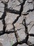 Rough texture of dried crack thick mud earth floor of a shrimp farm pond ground in grey color under hot summer sunlight in THAILAN