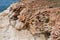 Rough texture of a rock at the coast of Peyia, Cyprus