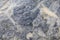 Rough textured surface of antique natural marble. Background, Grayish blue