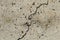 Rough textured surface of cracked concrete foundation slab