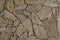 Rough textured wall made of wild decorative stone. Background with hard and contrasting light