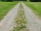 Rough track through coarse grass field leading into the distance