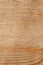 Rough uncolored wooden surface texture