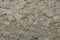 Rough unpainted concrete wall. Background texture