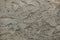 Rough unpainted concrete wall. Background texture