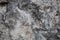 Rough weathered coquina limestone  wall surface texture close up