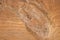 Rough wood texture with knot close up