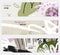 Roughly drawn floral elements cream gray banner set