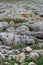 Roughy rocky terrain in Sagres, Portugal